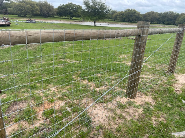 Fence