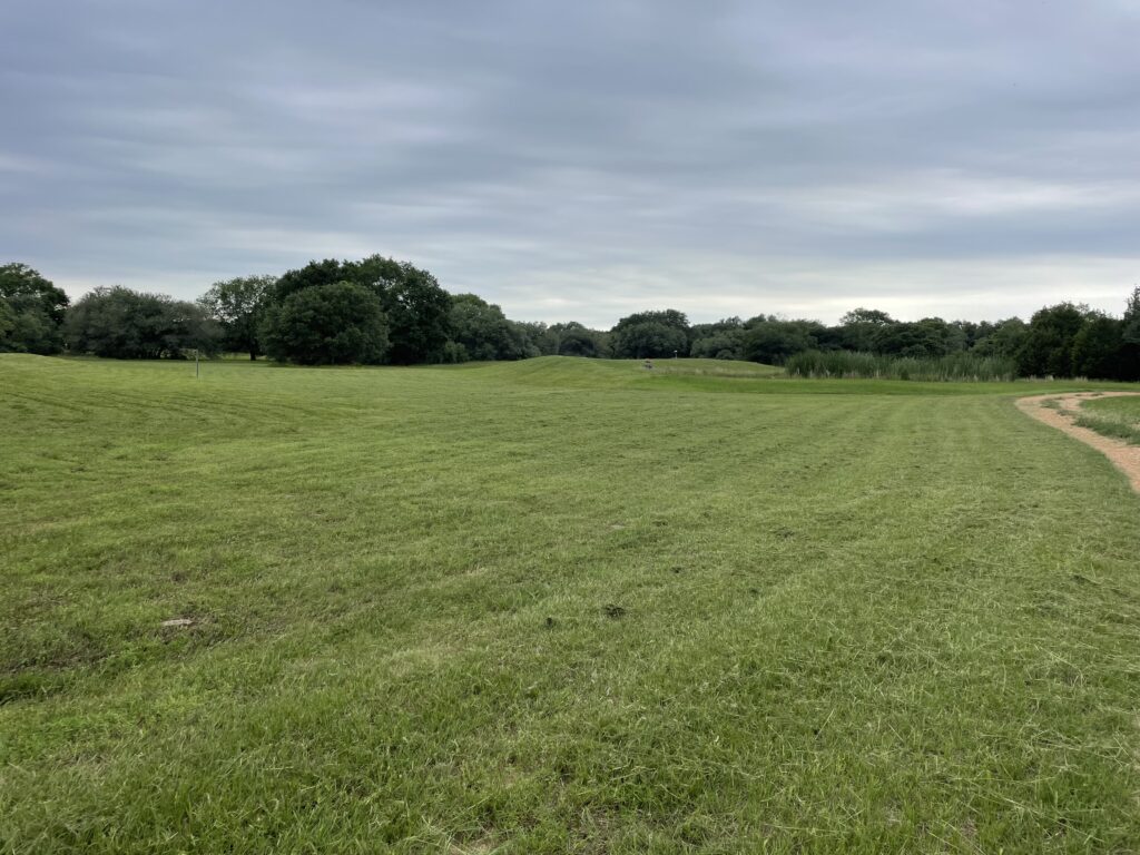 landscaping, lawn care