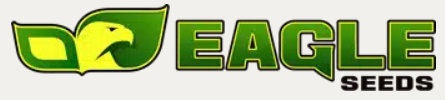 Eagle Seed